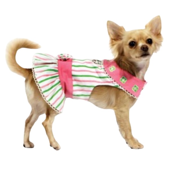 Doggie Design Other - Doggie Design | Chloe Dress with Mint & Pink Stripes matching hat and leash New